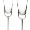Kate Spade Darling Point Toasting Flutes