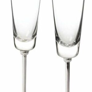 Kate Spade Darling Point Toasting Champagne Flutes for Rent